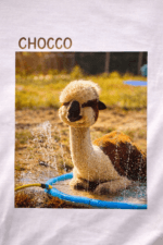 Alpakowy T-shirt dziecięcy CHOCCO - obrazek 2
