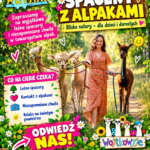 Voucher dla 1-4 osób na Spacer z 2 Alpakami
