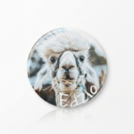 Magnes - Edzio 4