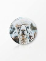 Magnes - Edzio 4