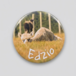 Magnes - Edzio 3