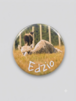 Magnes - Edzio 3