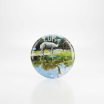 Magnes - Luis 2