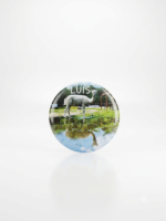 Magnes - Luis 2