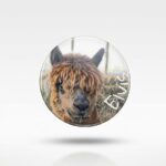 Magnes - Elvis 6