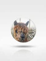 Magnes - Elvis 6