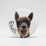 Magnes - Elvis 5