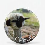 Magnes - Chocco