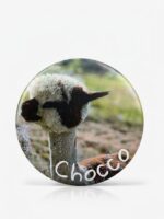 Magnes - Chocco