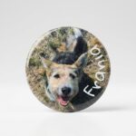Magnes - Frania 1