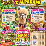 Pikniki i spotkania z Alpakami